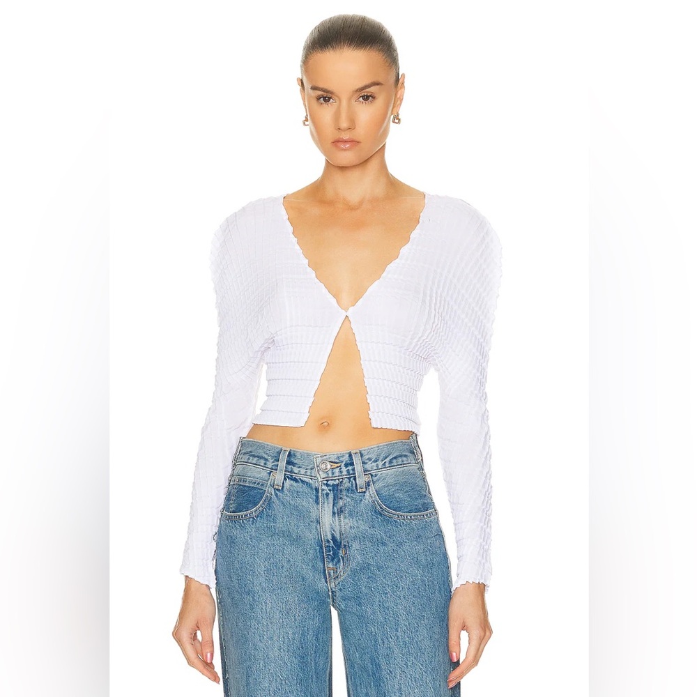 NWT Sid Neigum | Plunge Neckline Long Sleeve Crop Top